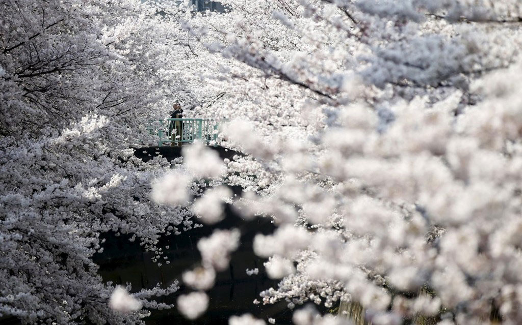 Picture 1 of Photos that make you love the earth
