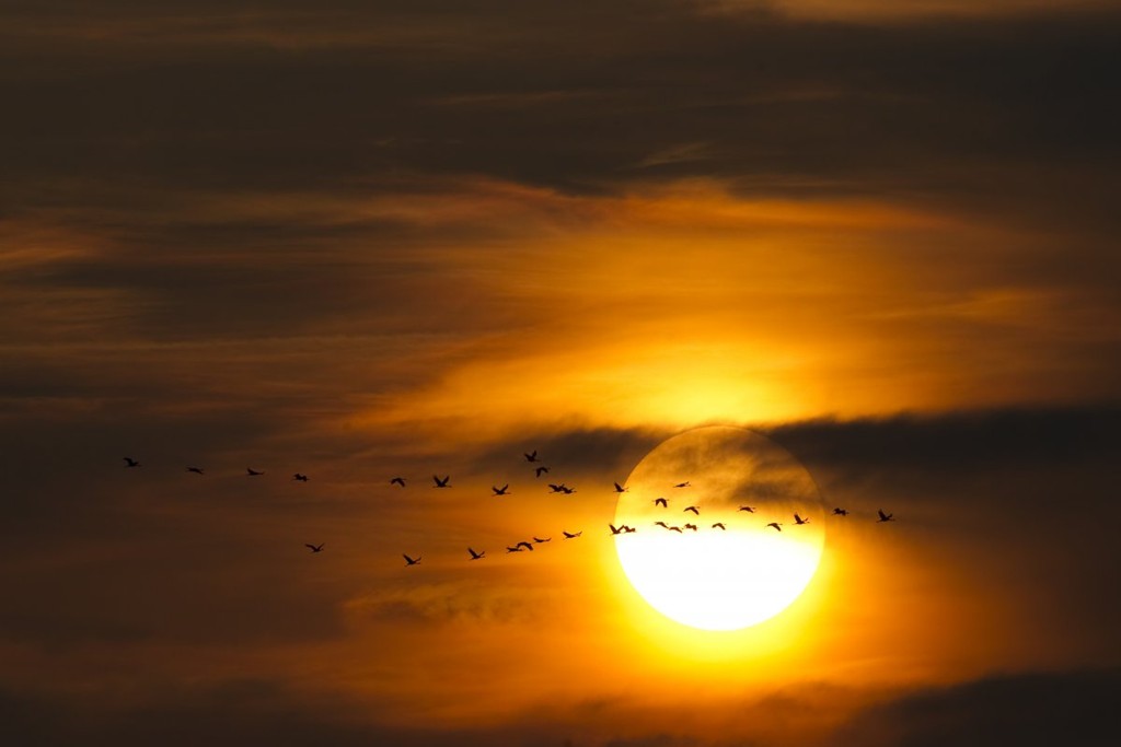 Picture 14 of Photos that make you love the earth