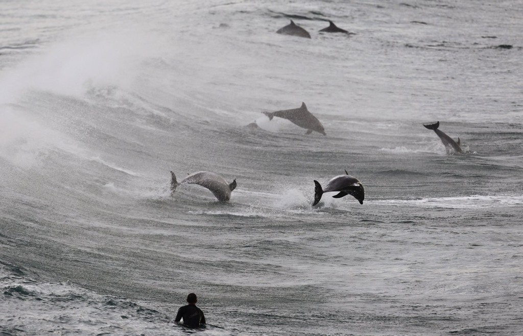 Picture 15 of Photos that make you love the earth