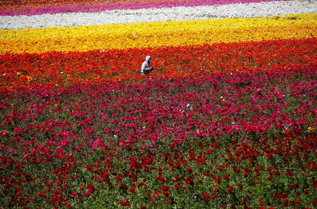 Picture 18 of Photos that make you love the earth