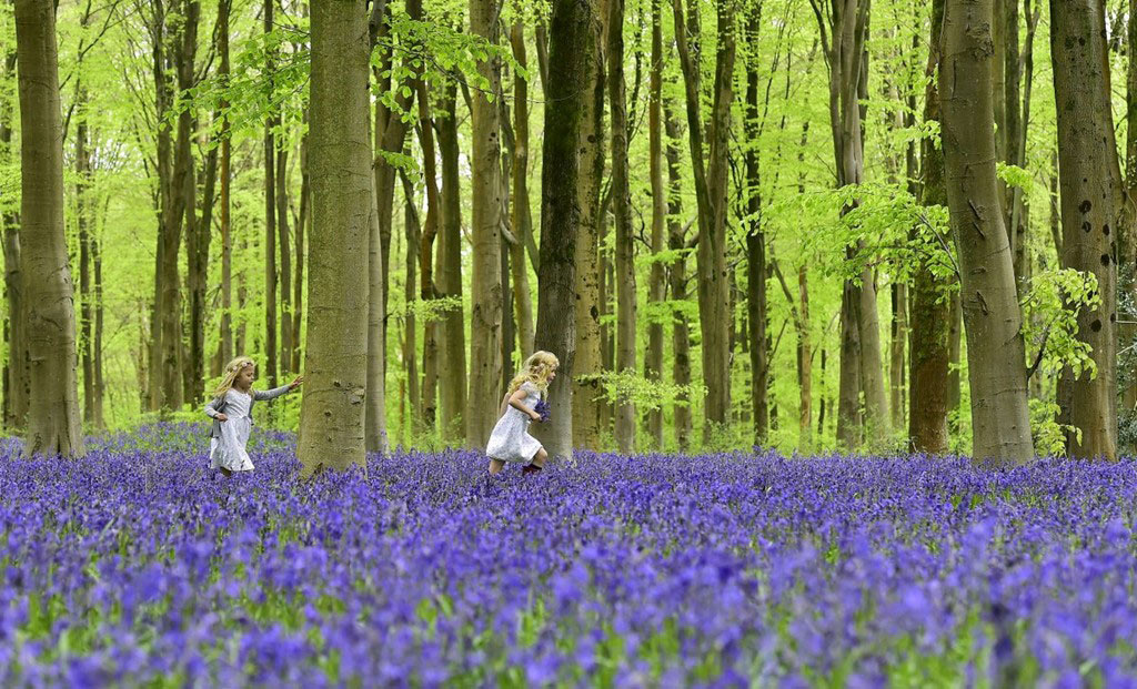 Picture 9 of Photos that make you love the earth
