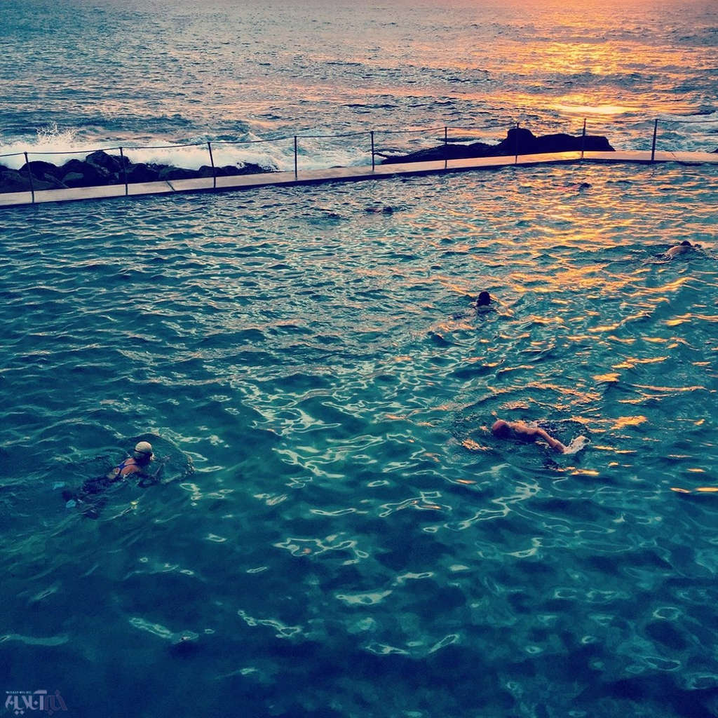 Picture 14 of Photos won the International iPhone Photo Contest 2016