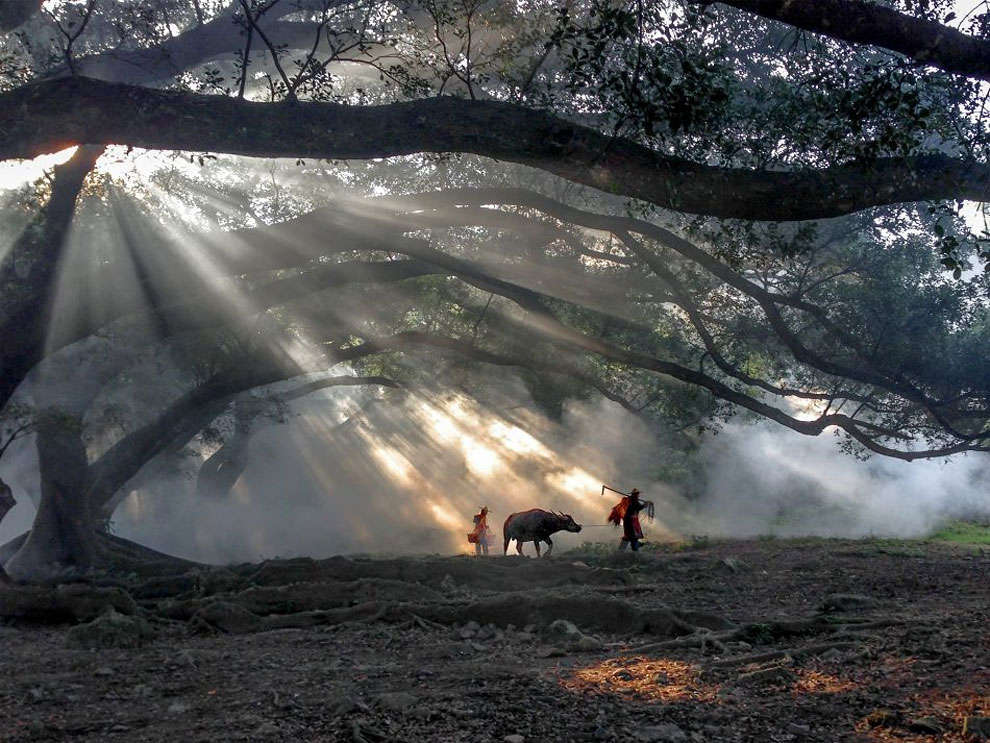 Picture 16 of Photos won the International iPhone Photo Contest 2016