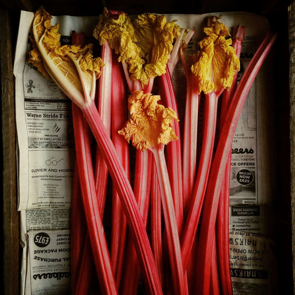 Picture 8 of Photos won the International iPhone Photo Contest 2016