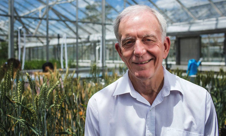 Picture 1 of Photosynthesis method helps agriculture develop