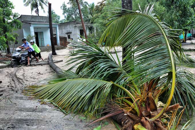Picture 1 of Phu Yen and Binh Dinh are disordered after Matmo storm