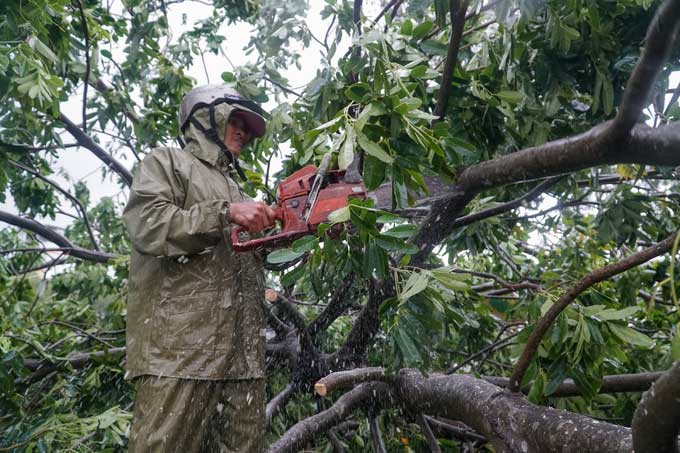 Picture 12 of Phu Yen and Binh Dinh are disordered after Matmo storm