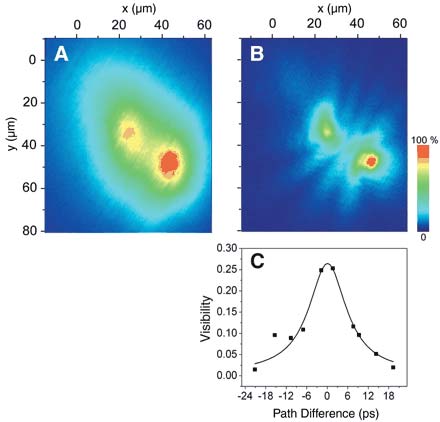 Physicists confirm the existence of polariton condensation state images 3