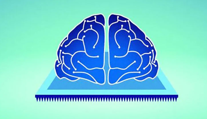 Picture 1 of Physicists create a device that can 'forget memories'