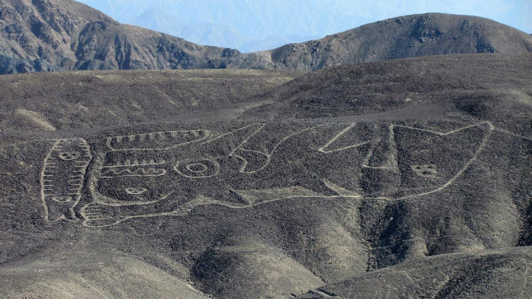 Picture 1 of Picture of a 70-meter killer whale in the Peruvian desert