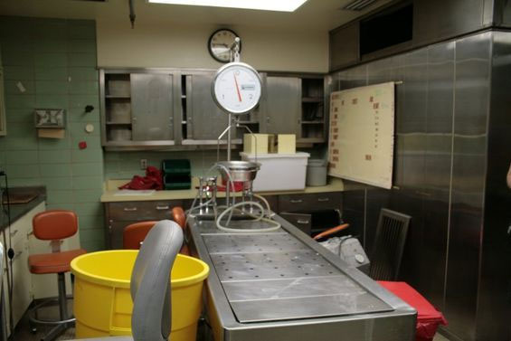 Picture 9 of Picture of Forest Park mental hospital