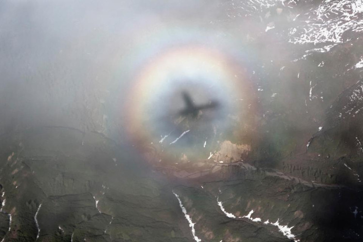 Picture 3 of Pilot's Glory Decoding: the aura of common pilots