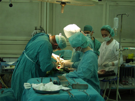 Picture 1 of Pilot's surgeon