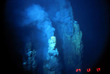 'Pin' lives in the deep sea images 1