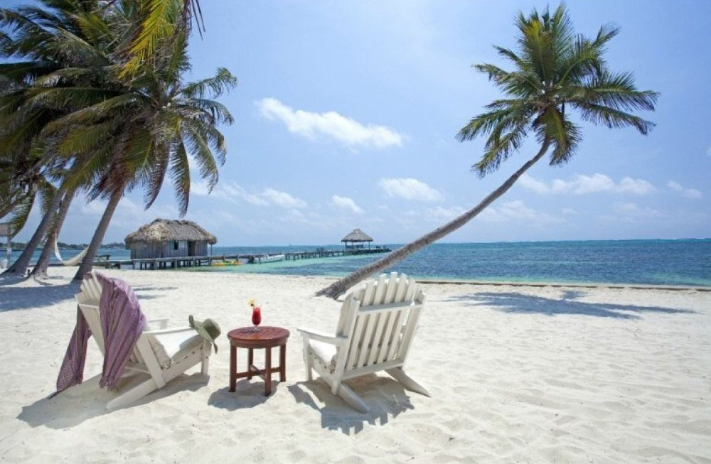 Picture 7 of Places never have winter