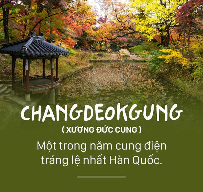 Places you must visit if you go to Seoul this summer images 6