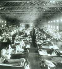 Picture 4 of Plague - global assassins in history