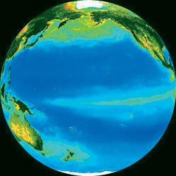 Picture 1 of Plankton contribute to super typhoons