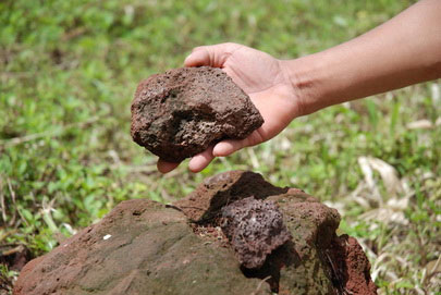 Picture 2 of Plant clean vegetables on volcanic foam