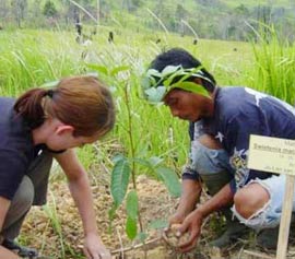 Picture 1 of Planting a billion trees to prevent global warming