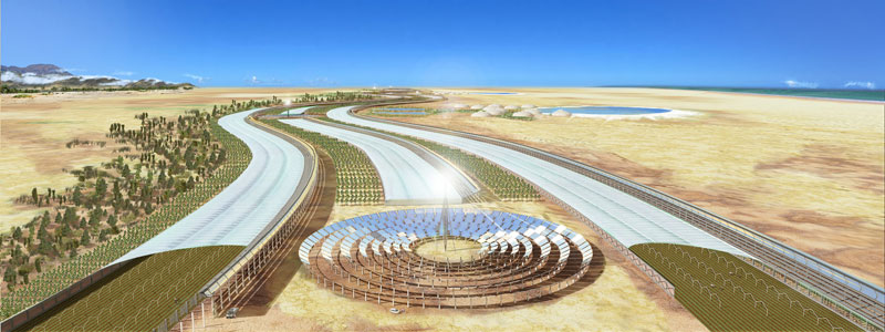 Picture 1 of Planting forests on ... desert