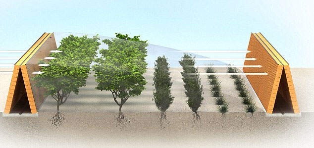 Picture 2 of Planting forests on ... desert