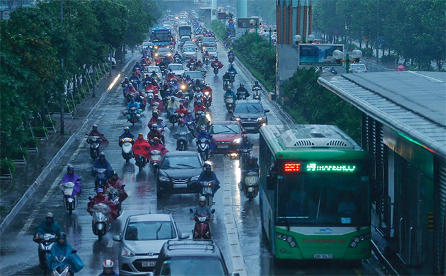 Picture 8 of Plants fell mass in Hanoi and Hai Phong after the storm Wipha