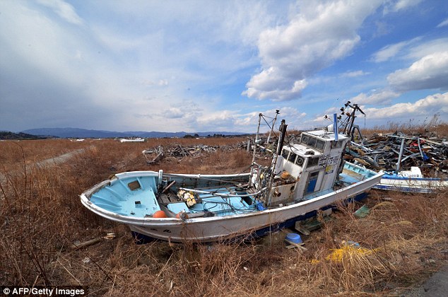 Picture 4 of Plants mutated genes because of radiation near Fukushima