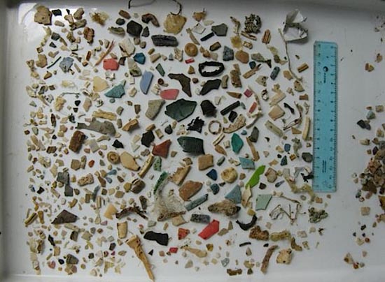Picture 1 of Plastic garbage can cause sea turtles to become extinct