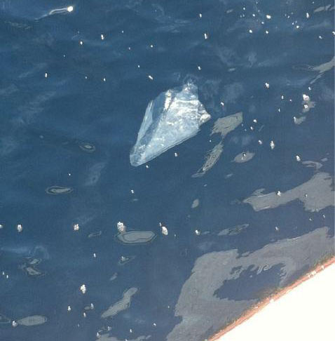 Picture 1 of Plastic waste is poisoning the ocean