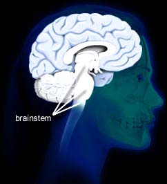 Picture 2 of Play music to 'refine' your hearing system