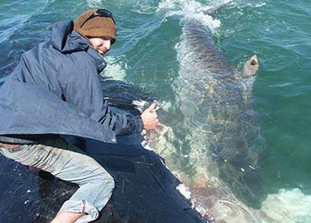 Picture 1 of Play with ocean assassins