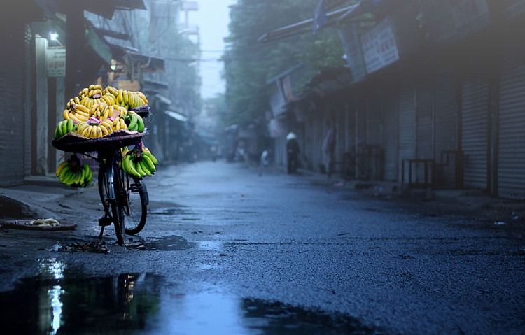 Picture 7 of Please admire the poetic beauty of Hanoi winter