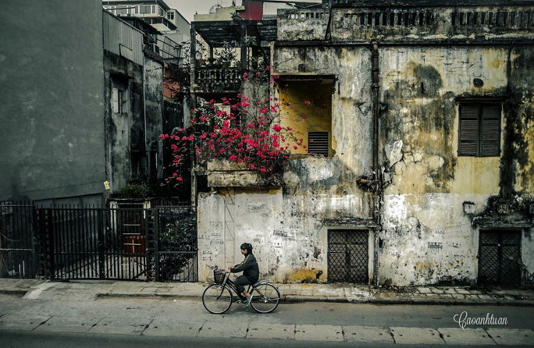 Picture 8 of Please admire the poetic beauty of Hanoi winter