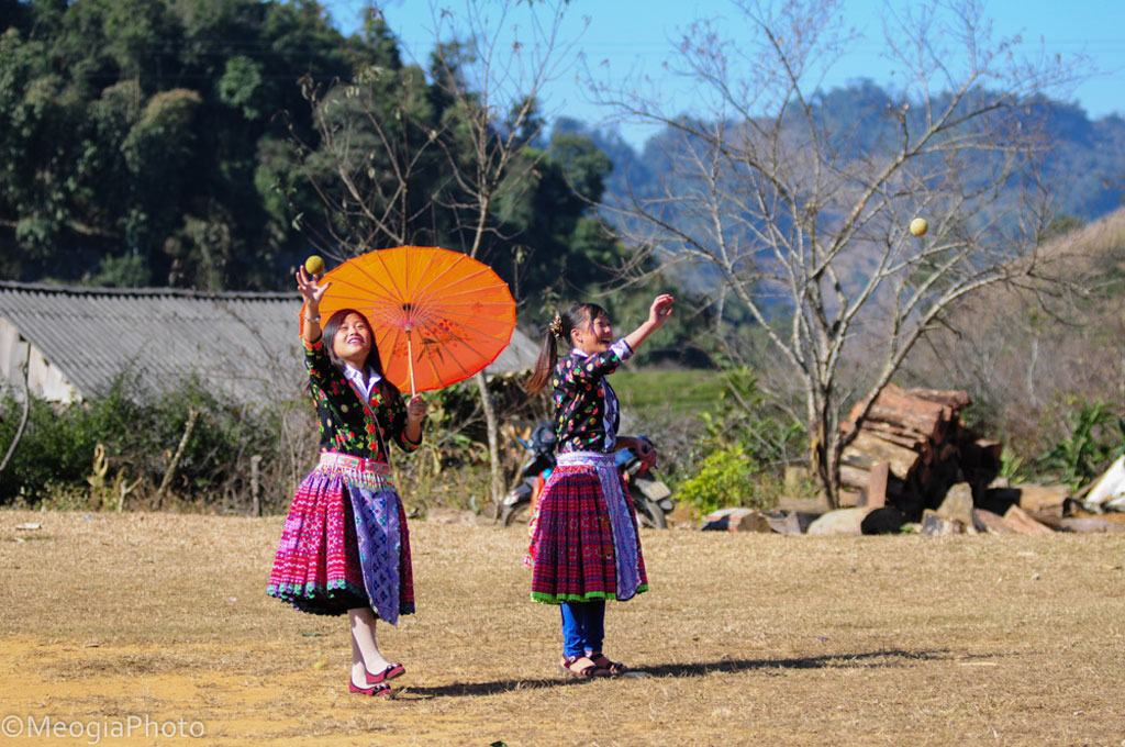 Picture 9 of Plum flowers are white on Moc Chau plateau