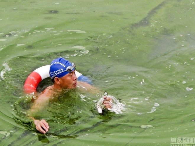 Picture 7 of Poisonous algae cover 1.5 km of Chinese lake