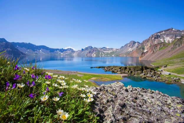 Picture 11 of Poisonous: Korea is as beautiful as paradise that surprised the world
