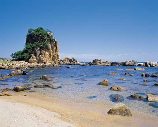 Picture 13 of Poisonous: Korea is as beautiful as paradise that surprised the world