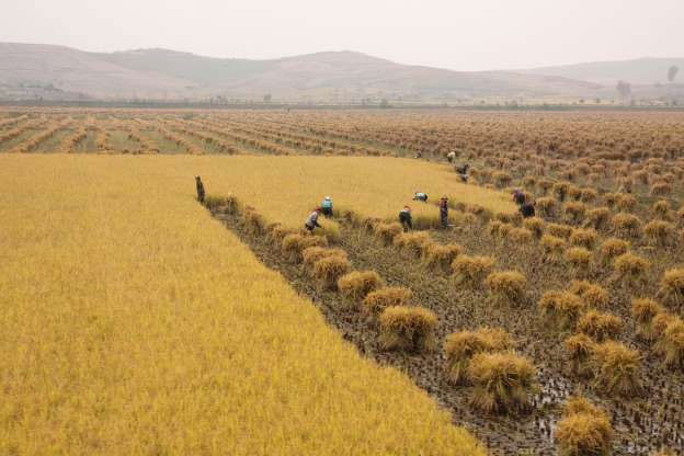 Picture 14 of Poisonous: Korea is as beautiful as paradise that surprised the world