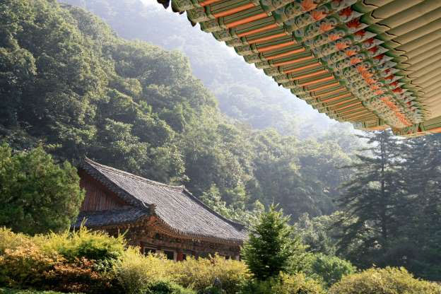 Picture 8 of Poisonous: Korea is as beautiful as paradise that surprised the world