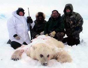 Picture 1 of Polar bears may cross with brown bears