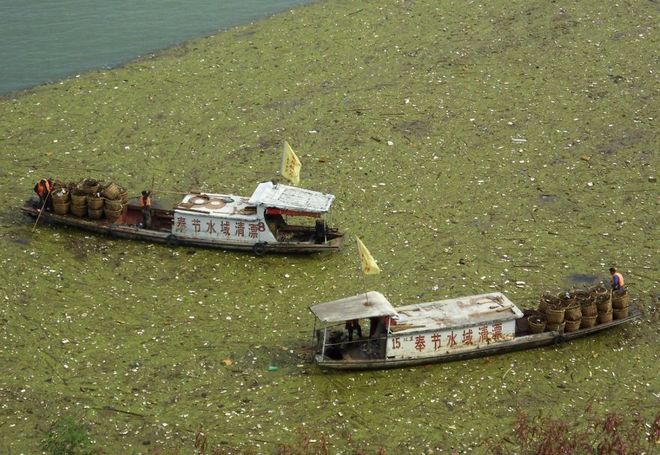 Picture 12 of Polluted lands in China