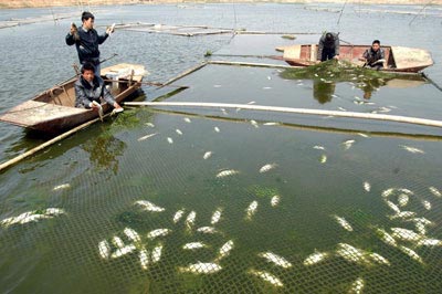 Picture 1 of Polluted water is more frightening than war