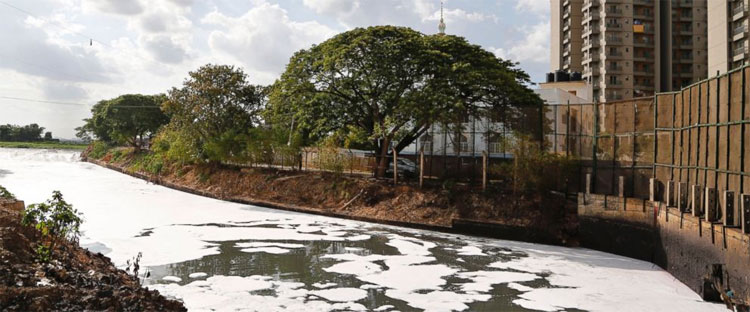 Picture 2 of Pollution causes 9 million deaths each year