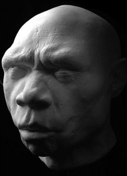 Picture 10 of Portrait of human ancestors
