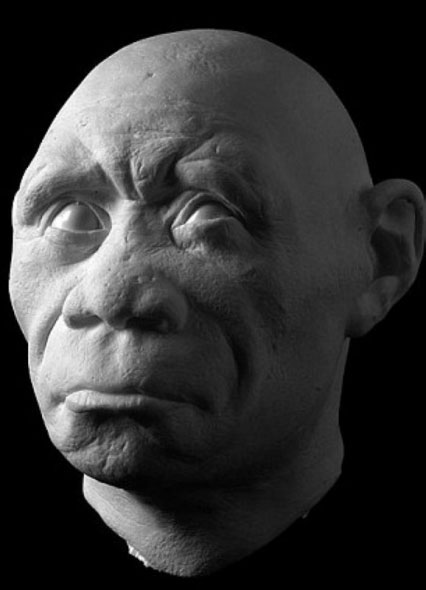 Picture 11 of Portrait of human ancestors
