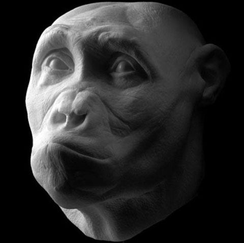 Picture 2 of Portrait of human ancestors