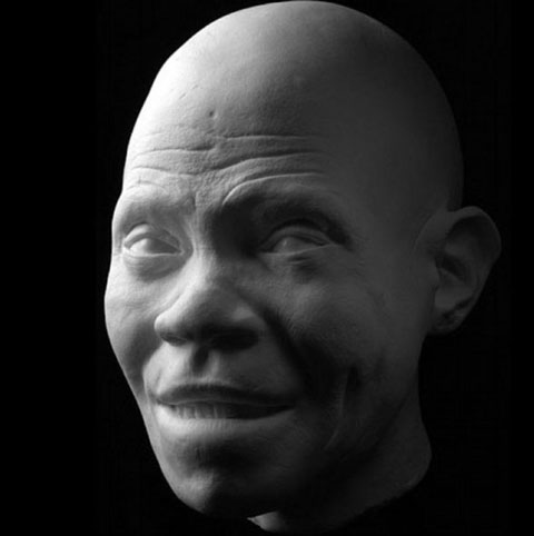 Picture 3 of Portrait of human ancestors