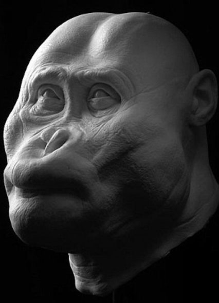 Picture 5 of Portrait of human ancestors
