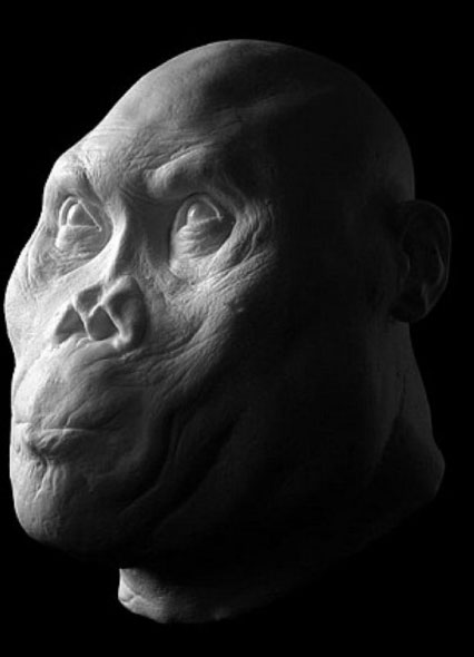 Picture 6 of Portrait of human ancestors